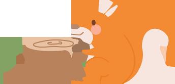 DƬ